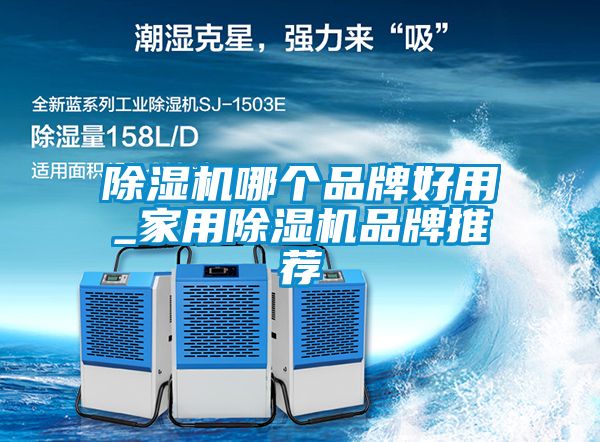 除濕機(jī)哪個(gè)品牌好用_家用除濕機(jī)品牌推薦
