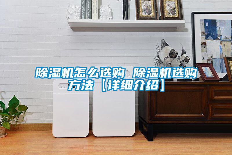 除濕機怎么選購 除濕機選購方法【詳細(xì)介紹】
