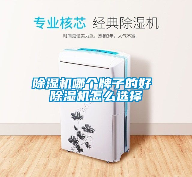 除濕機(jī)哪個牌子的好 除濕機(jī)怎么選擇