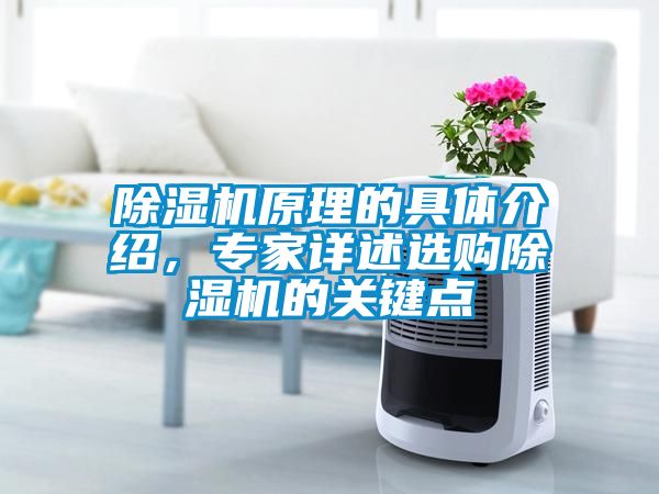 除濕機(jī)原理的具體介紹，專家詳述選購除濕機(jī)的關(guān)鍵點(diǎn)