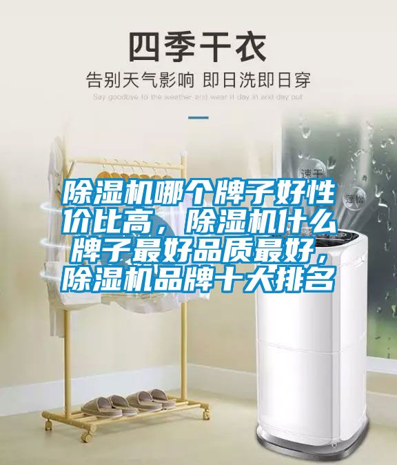 除濕機(jī)哪個(gè)牌子好性價(jià)比高，除濕機(jī)什么牌子最好品質(zhì)最好，除濕機(jī)品牌十大排名