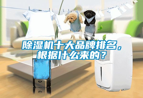 除濕機(jī)十大品牌排名，根據(jù)什么來的？
