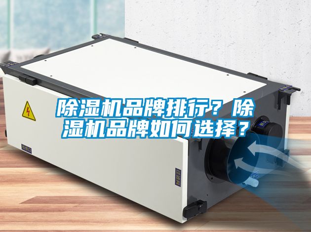 除濕機(jī)品牌排行？除濕機(jī)品牌如何選擇？