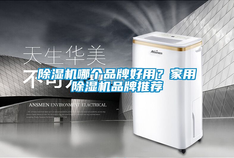除濕機(jī)哪個(gè)品牌好用？家用除濕機(jī)品牌推薦