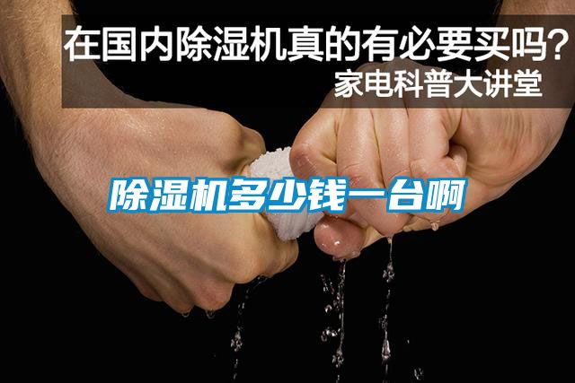 除濕機(jī)多少錢一臺啊
