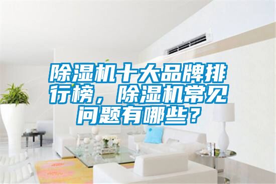 除濕機(jī)十大品牌排行榜，除濕機(jī)常見問題有哪些？