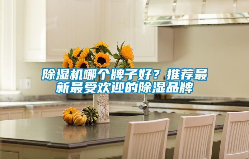 除濕機哪個牌子好？推薦最新最受歡迎的除濕品牌
