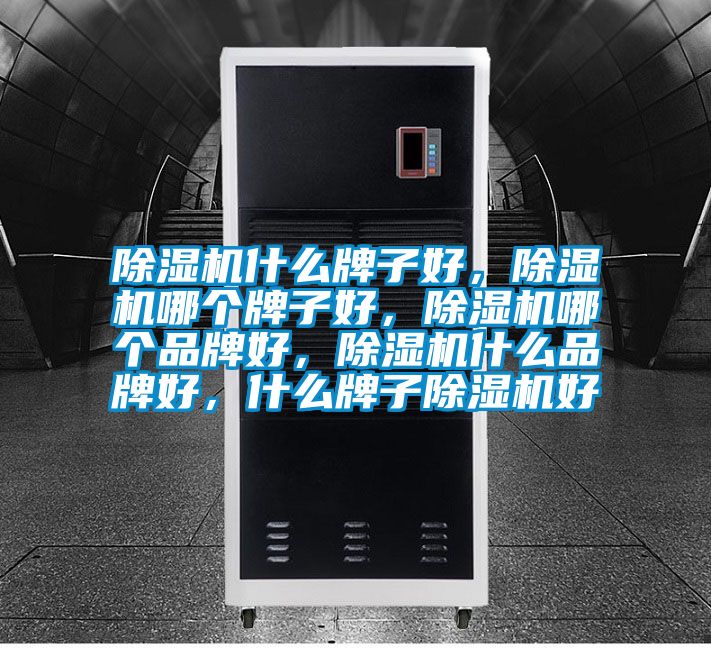 除濕機什么牌子好，除濕機哪個牌子好，除濕機哪個品牌好，除濕機什么品牌好，什么牌子除濕機好