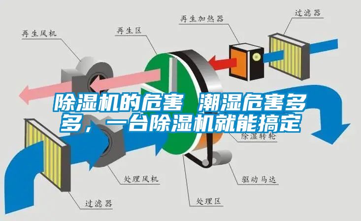 除濕機(jī)的危害 潮濕危害多多，一臺(tái)除濕機(jī)就能搞定