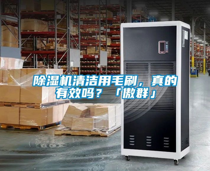 除濕機(jī)清潔用毛刷，真的有效嗎？「傲群」