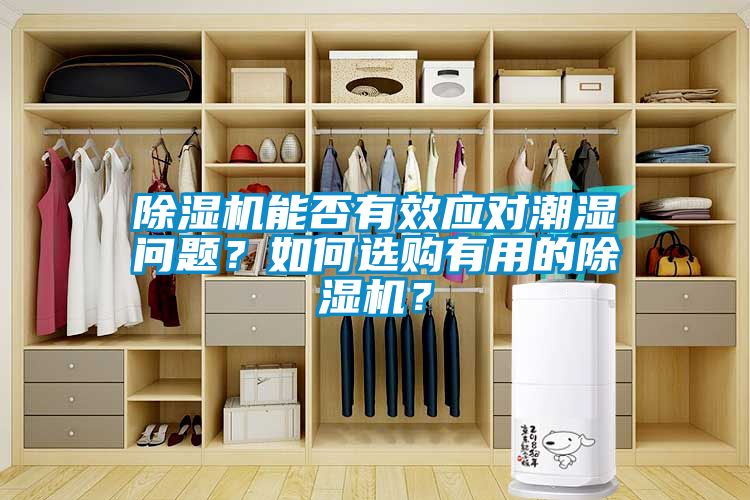 除濕機能否有效應對潮濕問題？如何選購有用的除濕機？