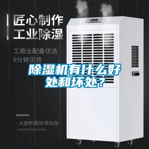 除濕機(jī)有什么好處和壞處？