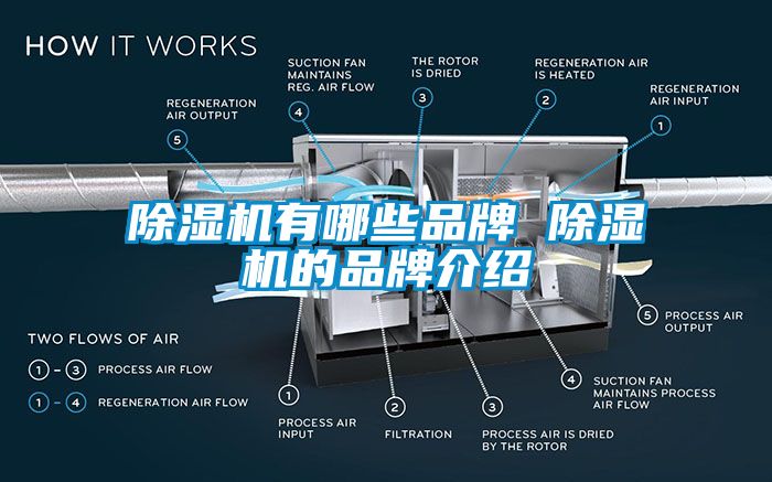 除濕機(jī)有哪些品牌 除濕機(jī)的品牌介紹