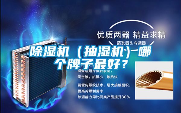 除濕機（抽濕機）哪個牌子最好？
