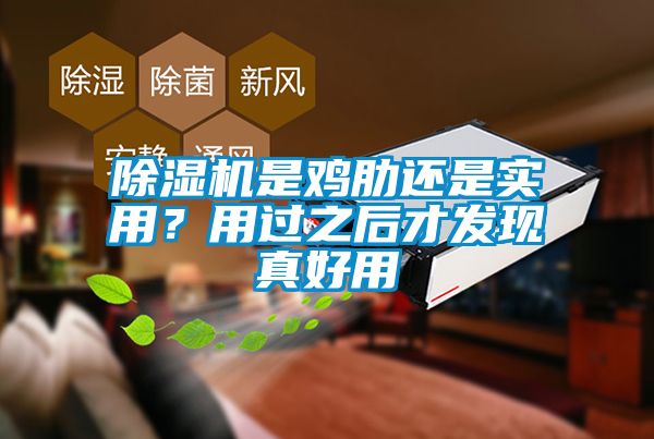 除濕機(jī)是雞肋還是實用？用過之后才發(fā)現(xiàn)真好用