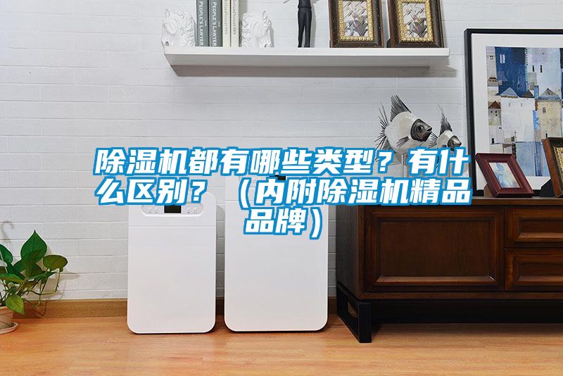 除濕機(jī)都有哪些類(lèi)型？有什么區(qū)別？（內(nèi)附除濕機(jī)精品品牌）