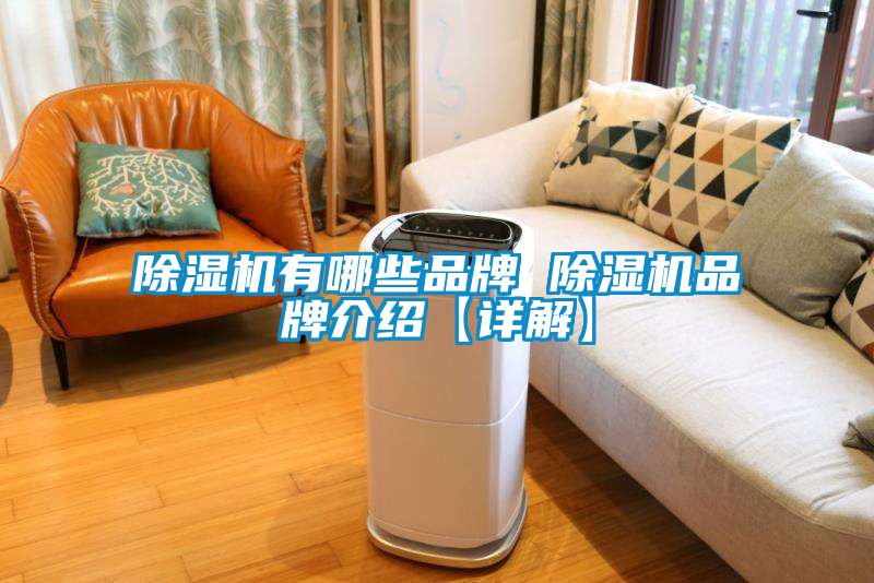 除濕機(jī)有哪些品牌 除濕機(jī)品牌介紹【詳解】