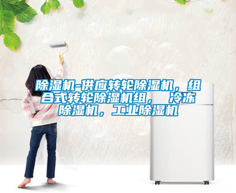 除濕機-供應(yīng)轉(zhuǎn)輪除濕機，組合式轉(zhuǎn)輪除濕機組， 冷凍除濕機，工業(yè)除濕機