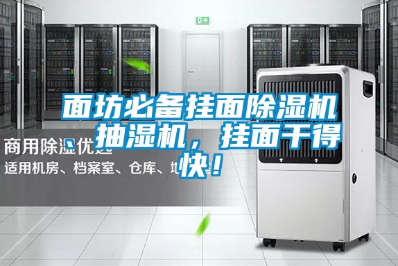 面坊必備掛面除濕機(jī)、抽濕機(jī)，掛面干得快！
