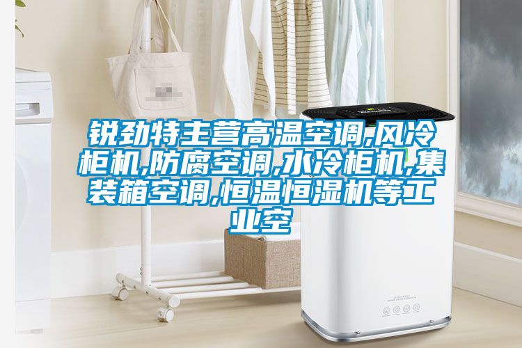 銳勁特主營高溫空調(diào),風冷柜機,防腐空調(diào),水冷柜機,集裝箱空調(diào),恒溫恒濕機等工業(yè)空