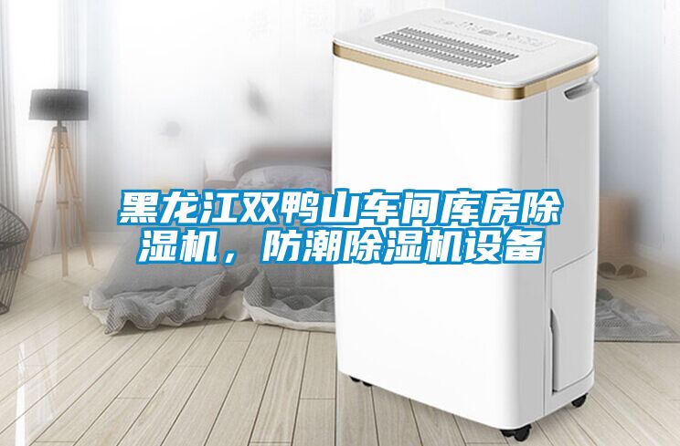 黑龍江雙鴨山車間庫(kù)房除濕機(jī)，防潮除濕機(jī)設(shè)備