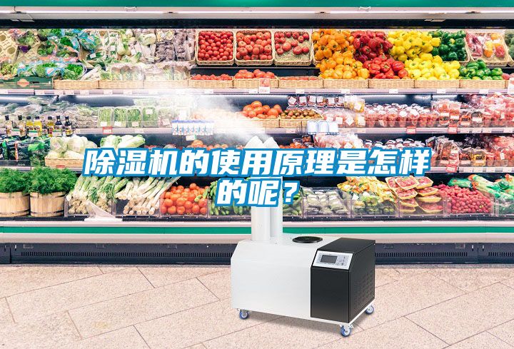 除濕機(jī)的使用原理是怎樣的呢？