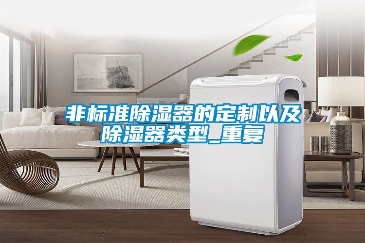 非標(biāo)準(zhǔn)除濕器的定制以及除濕器類(lèi)型_重復(fù)