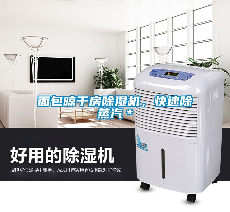 面包晾干房除濕機(jī)，快速除蒸汽＊