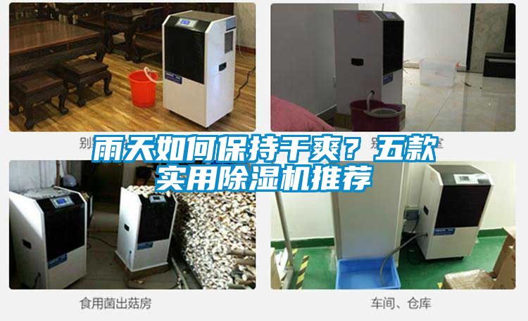 雨天如何保持干爽？五款實用除濕機推薦