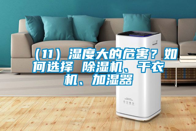 （11）濕度大的危害？如何選擇 除濕機(jī)、干衣機(jī)、加濕器