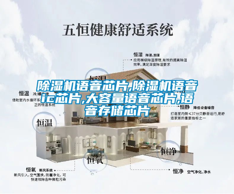除濕機(jī)語音芯片,除濕機(jī)語音ic芯片,大容量語音芯片,語音存儲芯片