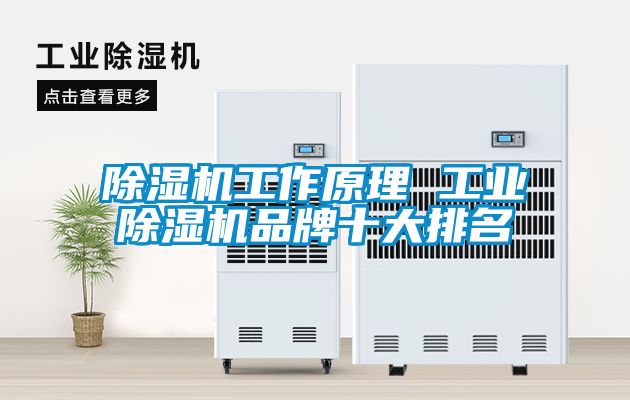 除濕機工作原理 工業(yè)除濕機品牌十大排名