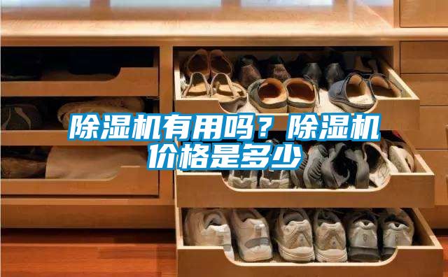 除濕機(jī)有用嗎？除濕機(jī)價(jià)格是多少