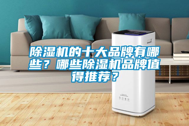 除濕機(jī)的十大品牌有哪些？哪些除濕機(jī)品牌值得推薦？