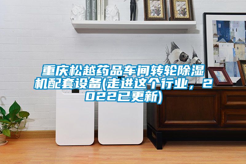 重慶松越藥品車間轉(zhuǎn)輪除濕機(jī)配套設(shè)備(走進(jìn)這個行業(yè)，2022已更新)