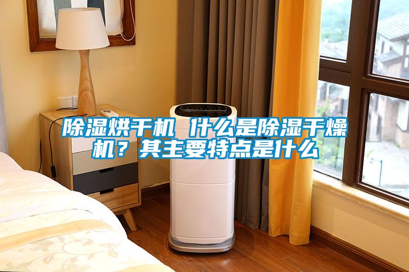 除濕烘干機(jī) 什么是除濕干燥機(jī)？其主要特點(diǎn)是什么