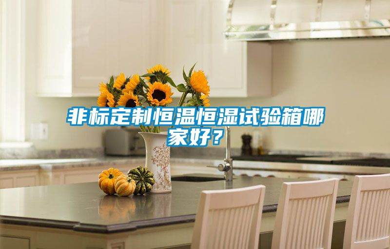 非標(biāo)定制恒溫恒濕試驗(yàn)箱哪家好？