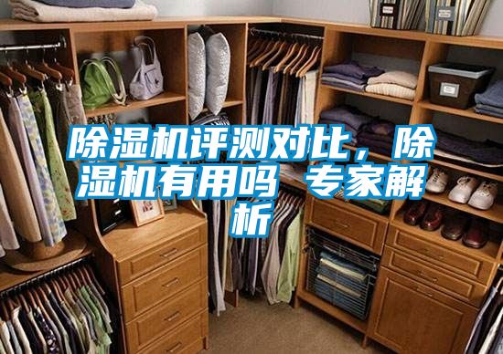 除濕機(jī)評測對比，除濕機(jī)有用嗎 專家解析