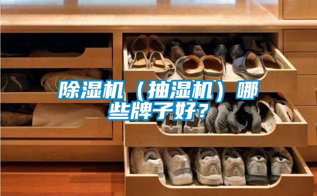 除濕機（抽濕機）哪些牌子好？