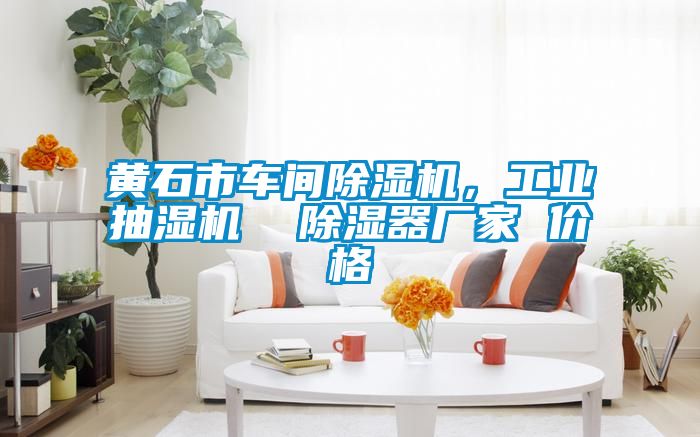 黃石市車間除濕機(jī)，工業(yè)抽濕機(jī)  除濕器廠家 價(jià)格