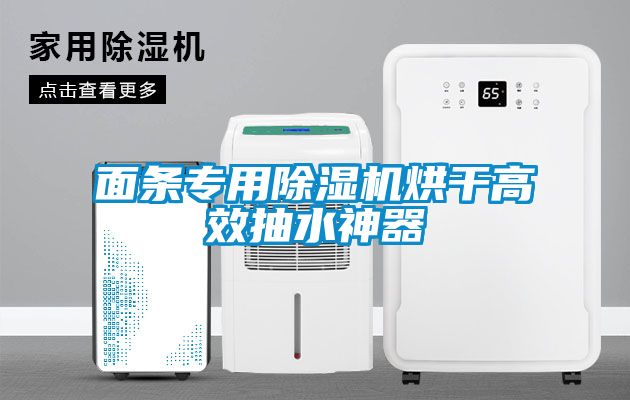 面條專(zhuān)用除濕機(jī)烘干高效抽水神器
