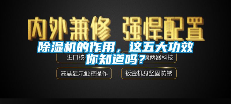 除濕機(jī)的作用，這五大功效你知道嗎？