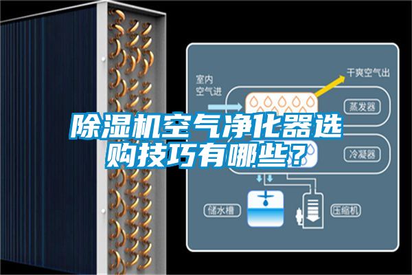 除濕機(jī)空氣凈化器選購技巧有哪些？
