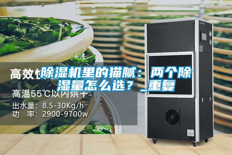 除濕機(jī)里的貓膩：兩個除濕量怎么選？_重復(fù)