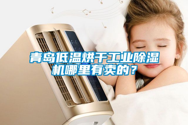 青島低溫烘干工業(yè)除濕機(jī)哪里有賣的？