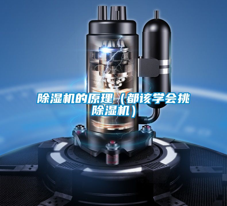 除濕機的原理（都該學(xué)會挑除濕機）