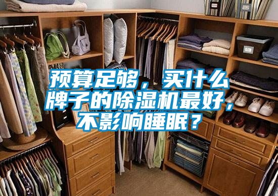 預(yù)算足夠，買什么牌子的除濕機最好，不影響睡眠？
