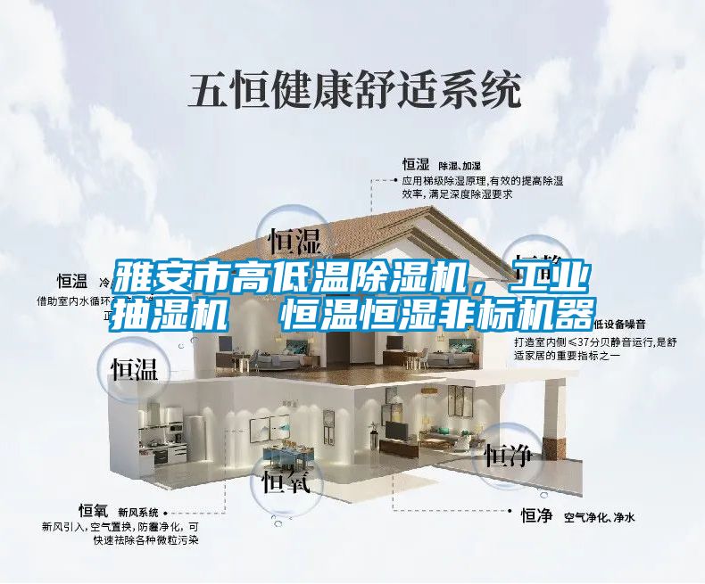 雅安市高低溫除濕機，工業(yè)抽濕機  恒溫恒濕非標(biāo)機器
