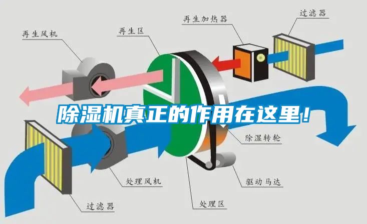 除濕機(jī)真正的作用在這里！