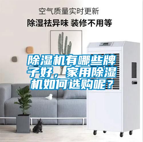 除濕機有哪些牌子好，家用除濕機如何選購呢？